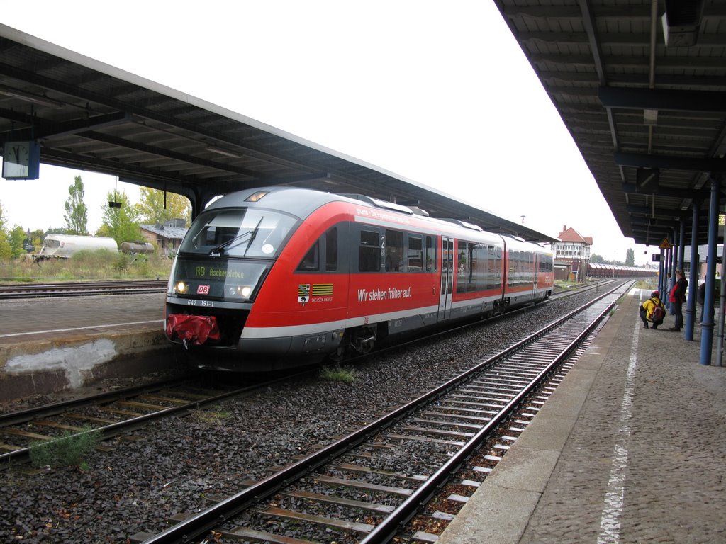 Zug am gleis