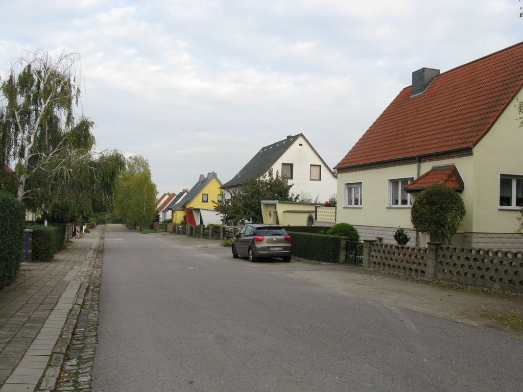 Street