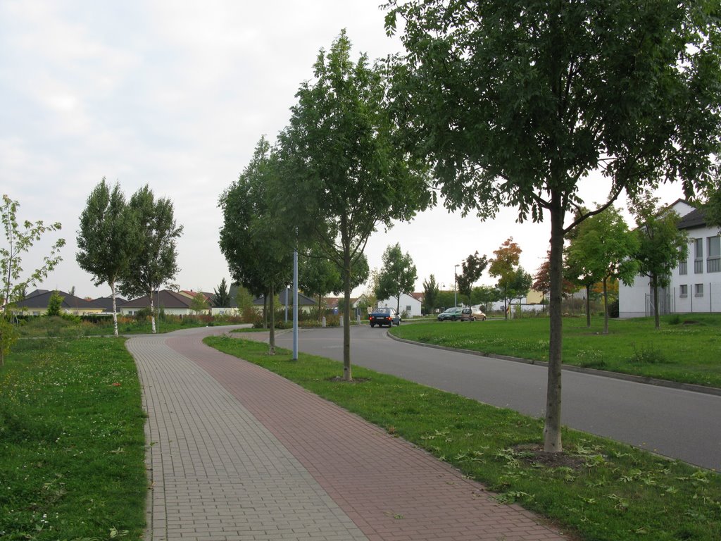 Near Kaufland