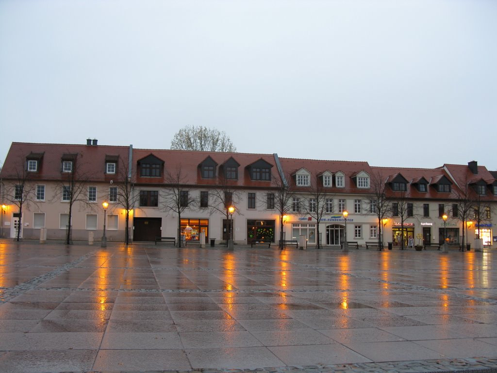 Belleben