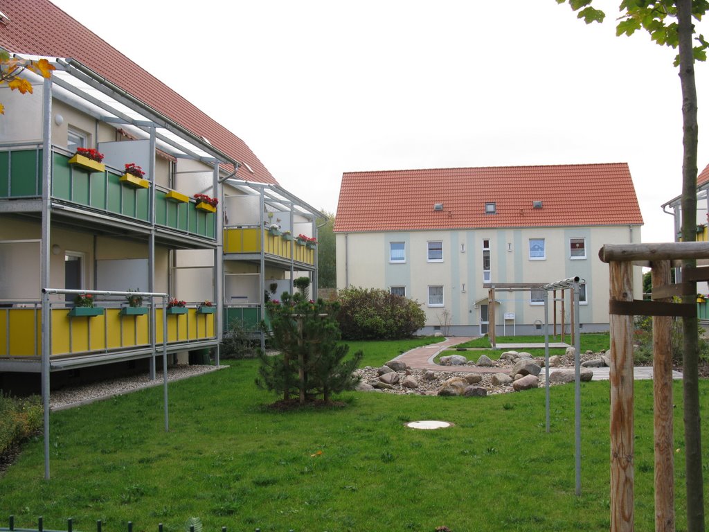 Yard