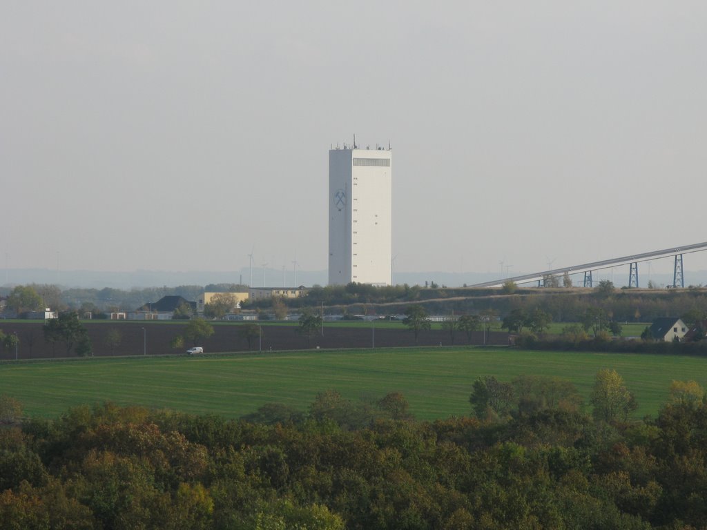 BS  (from far)