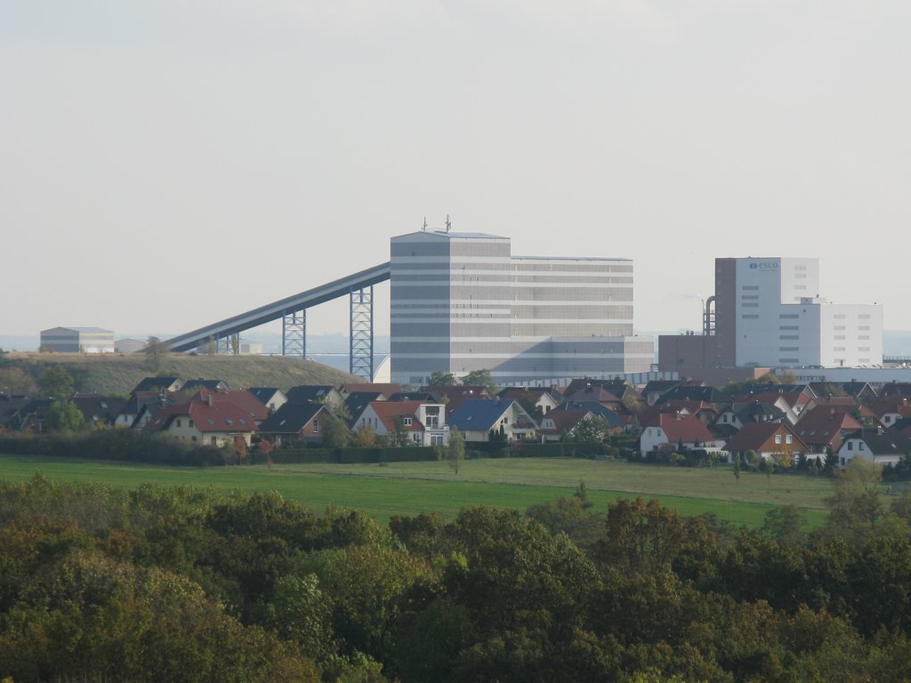 Salzwerk  (from far)