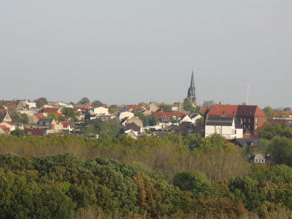 Bernburg (from far)