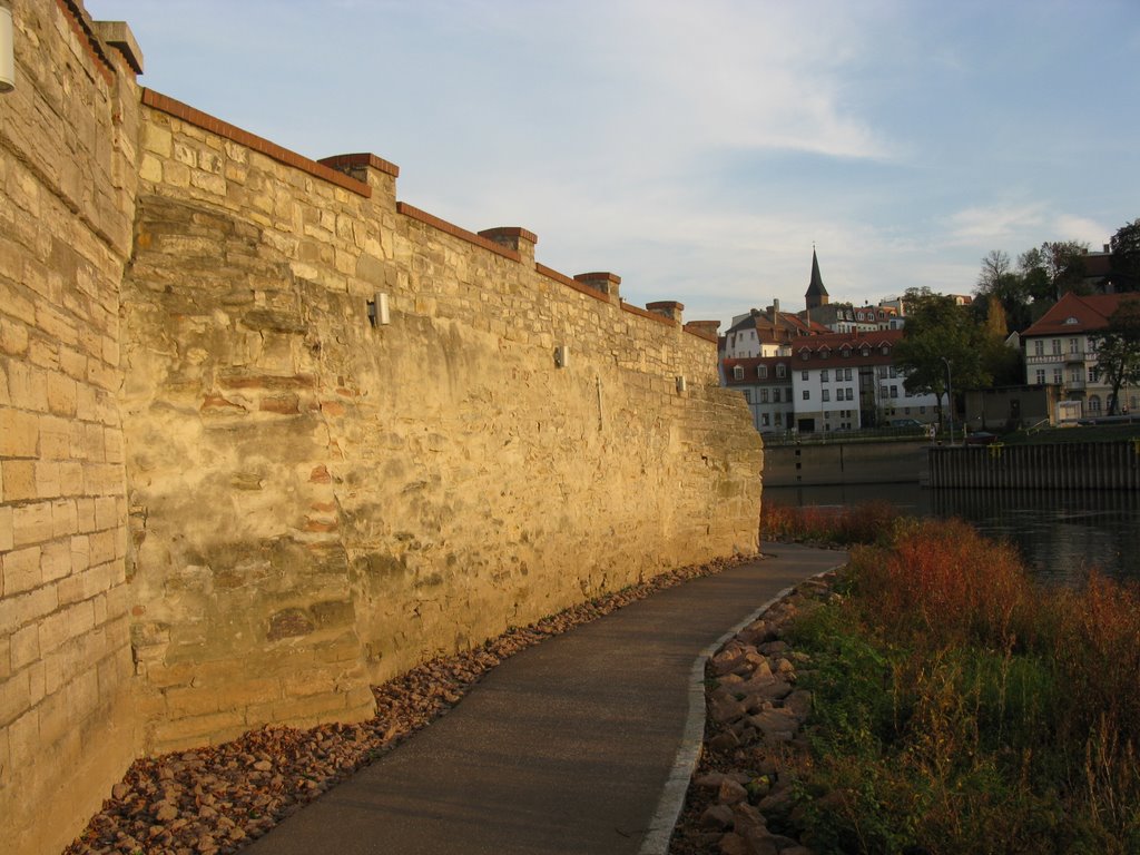 Wall
