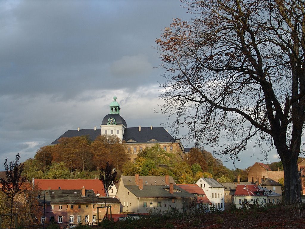 Schloss Neu-Augustusburg, Weißenfels [2006]