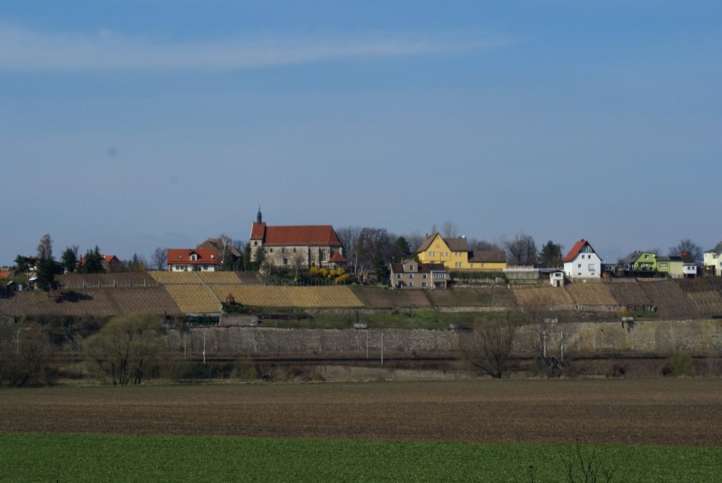 Blick auf Burgwerben