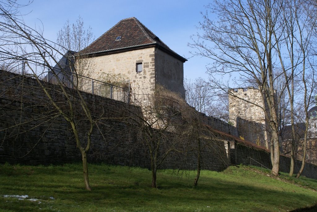 Burg Weißenfels