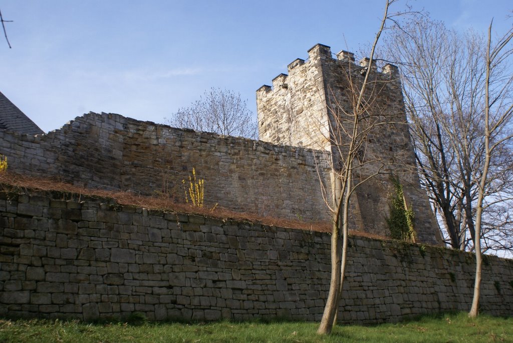 Burg Weißenfels