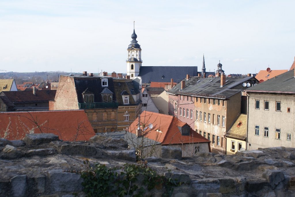 Blick auf Weißenfels mit St. Marien