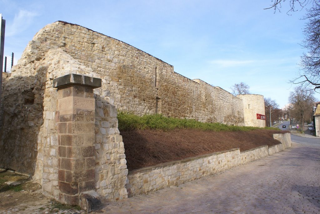 Schloss Neu-Augustusburg