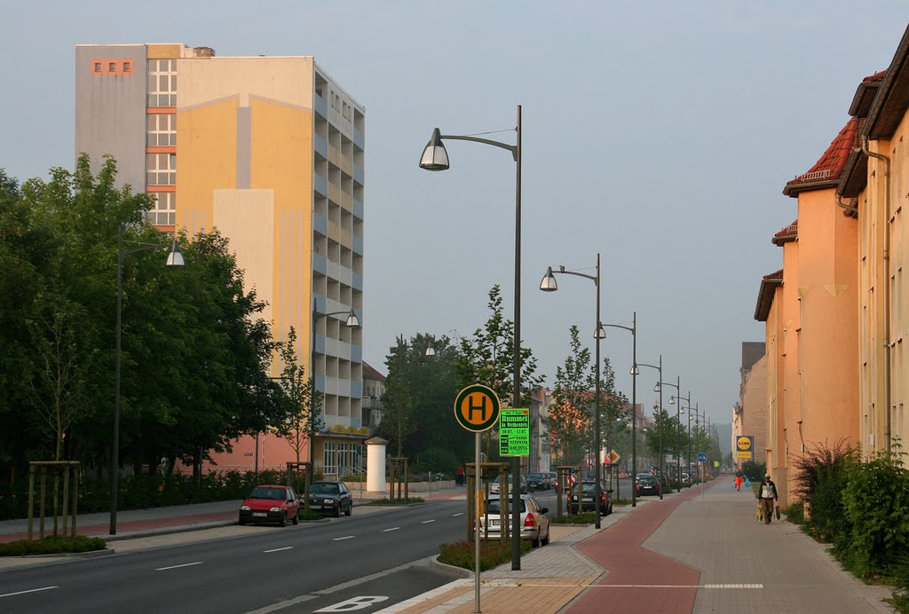 Merseburger Straße stadteinwärts [2009]