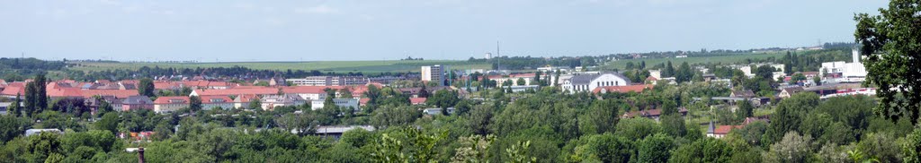 Panoramablick vom Borries-Rondell im Klemmberg Park Weißenfels
