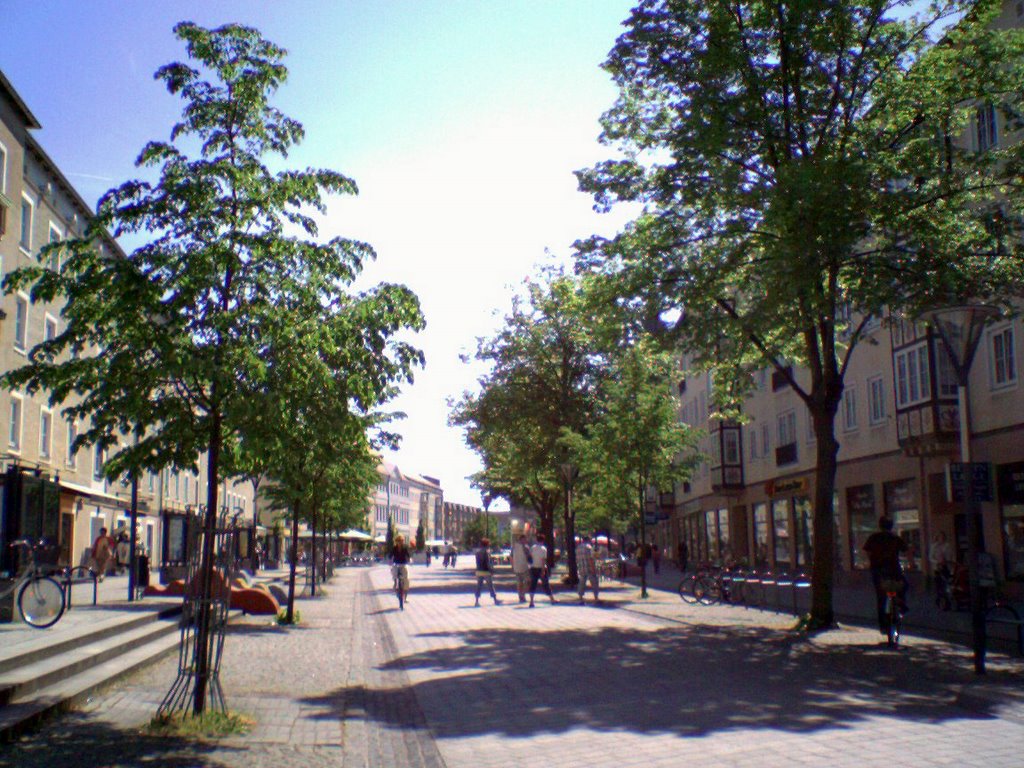 Zerbster Straße