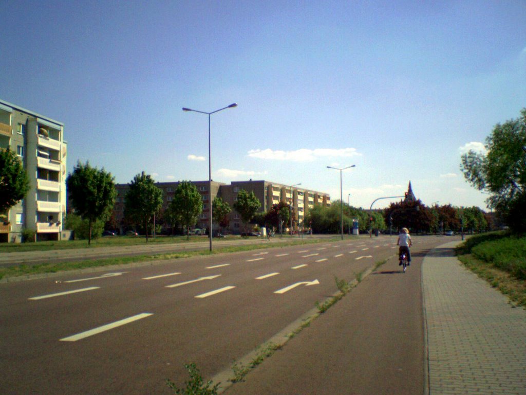 Amalienstraße