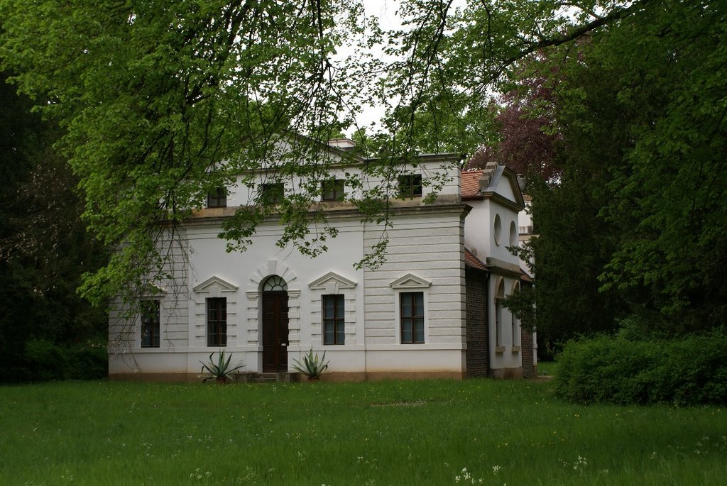 Im Georgengarten Dessau