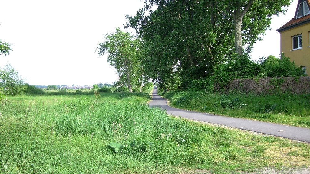 Elberadweg Frohse
