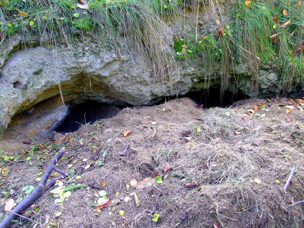 Hennemann an der Fuchshöhle