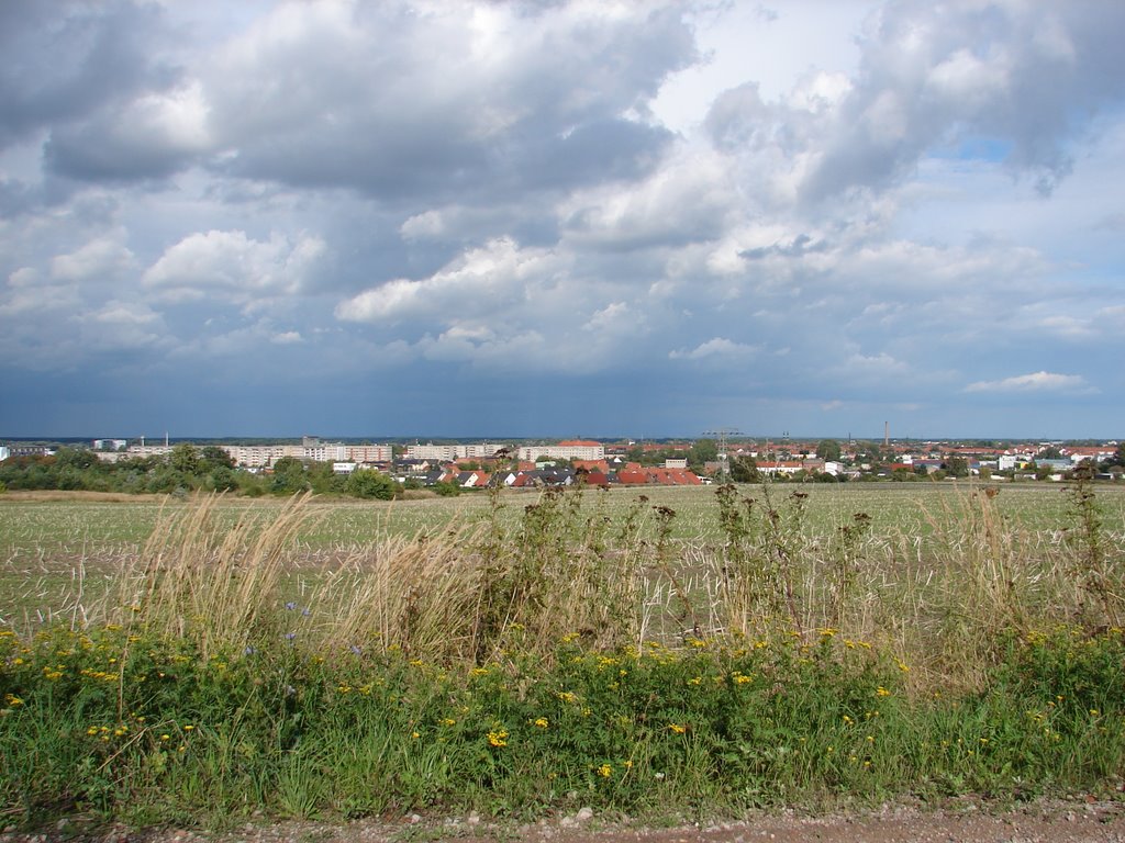 Sicht vom Hummelberg auf Schönebeck