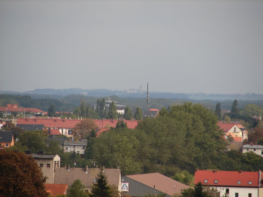 Schloss Leitzkau am Horizont