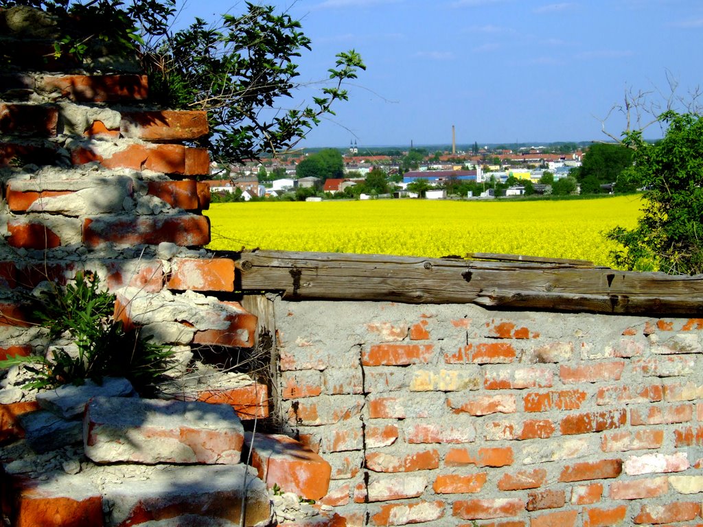 View from the Hummel Hill.