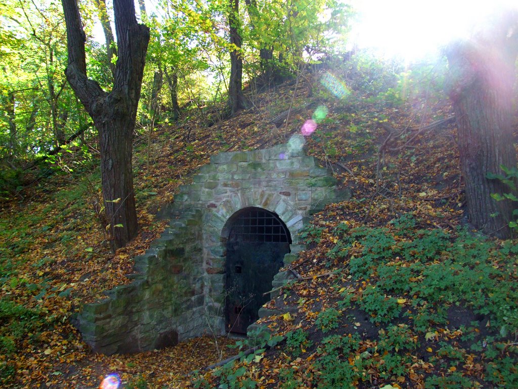 Old Cold Room.