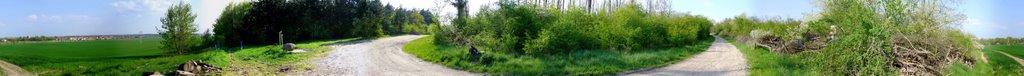 Schönebeck Hummelberg 04