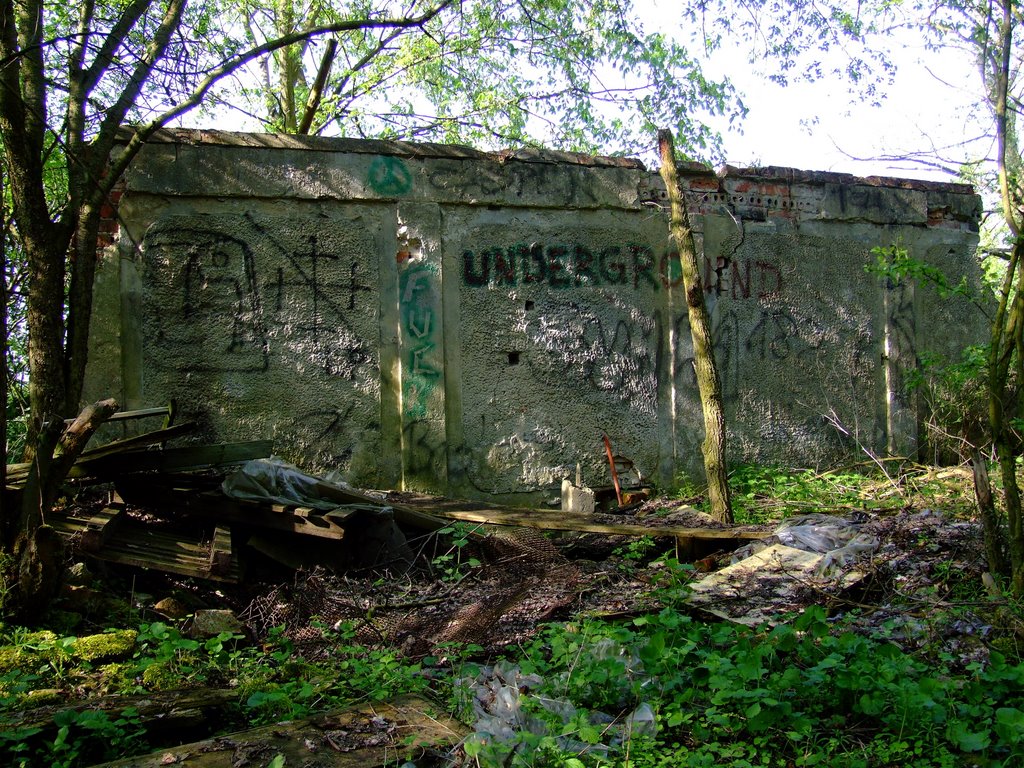Schönebeck, Hummelberg 05