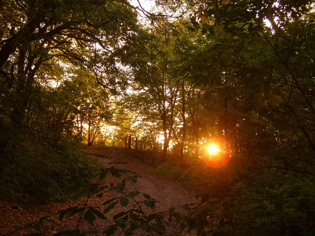 Sonnenuntergang auf dem Hummelberg