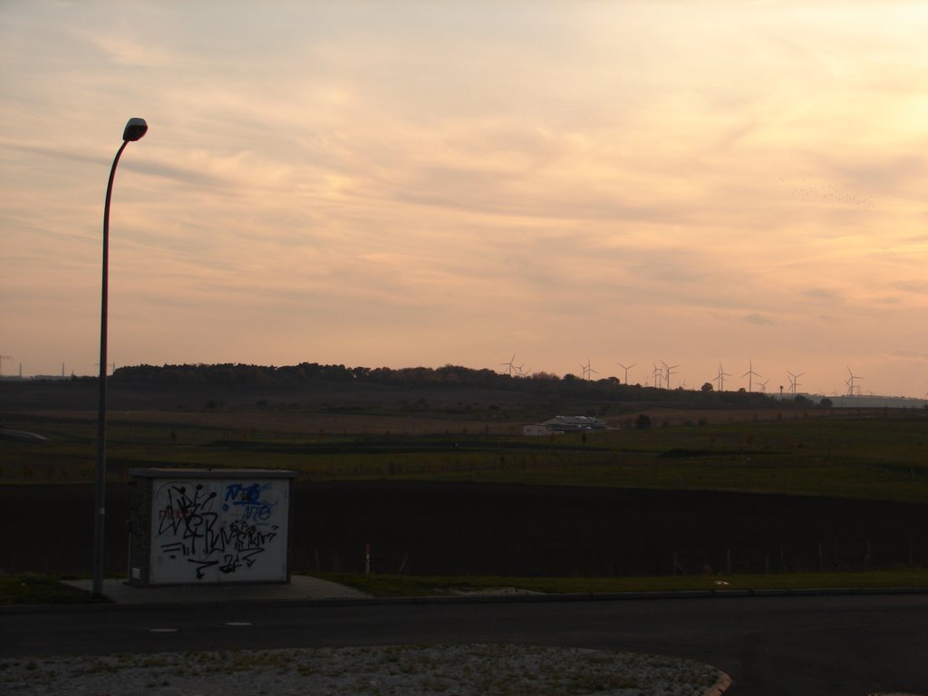Wielberg und Windräder bei Biere