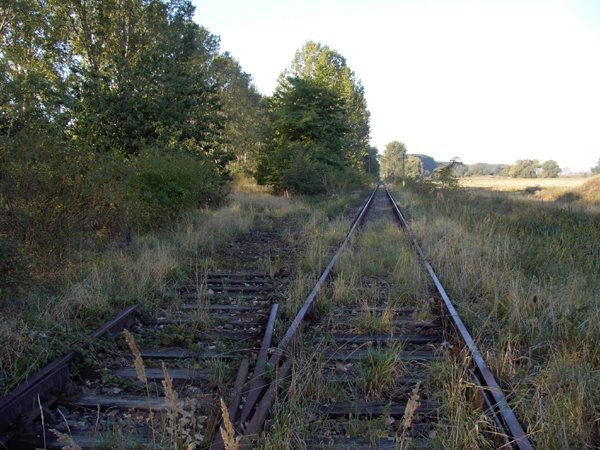 alte Nebenbahnstrecke Richtung Welsleben