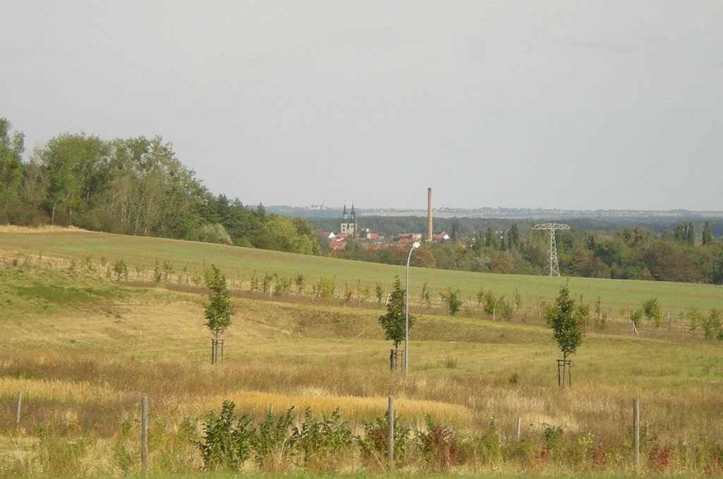 St.-Jakobi-Kirche und Schloss Leitzkau