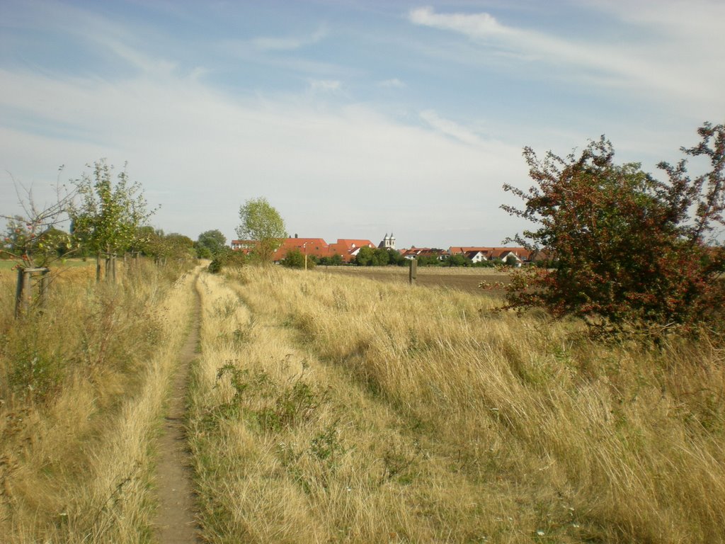 Feldweg in die Stadt (jetzt befestigt)