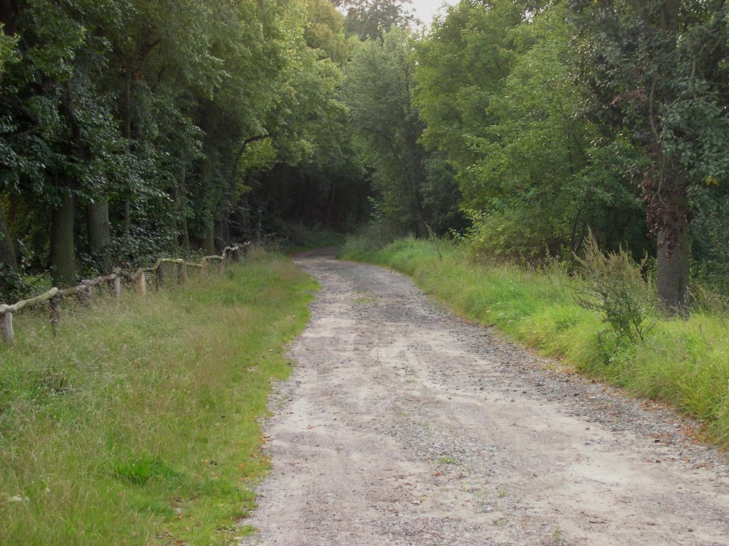 Weg zum Hummelberg