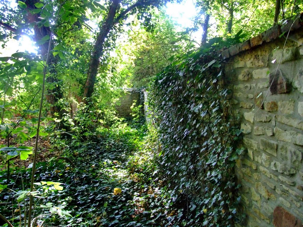 Hennemann aufm St. Gertrauden-Friedhof