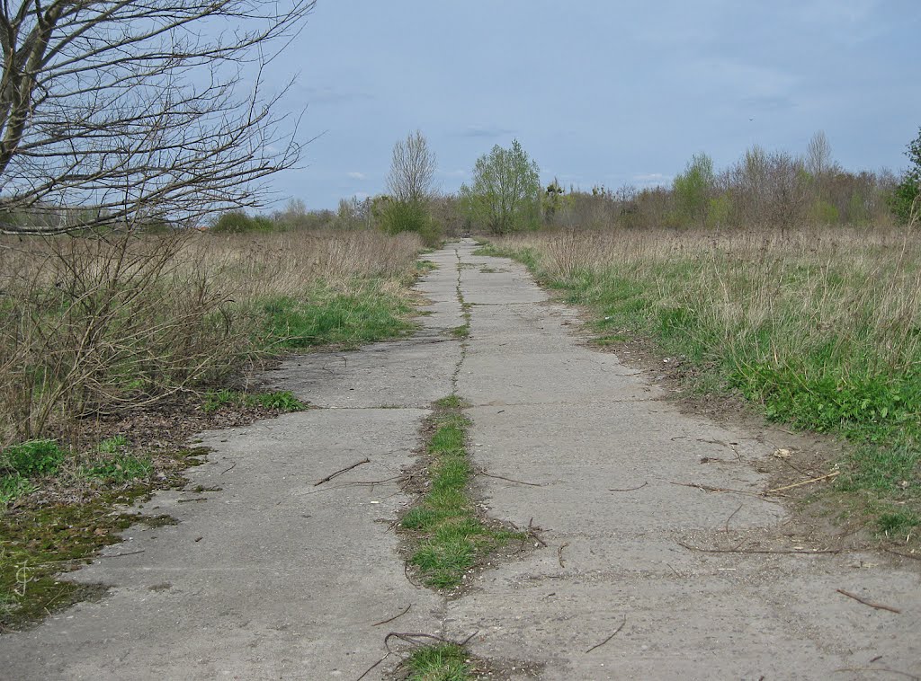 Plattenweg zur ehemaligen Kaserne [ℹ]