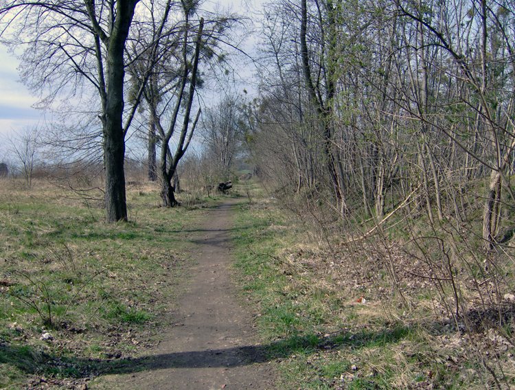 Weg zum Hummelberg (ehemaliges Kasernengelände der Roten Armee)