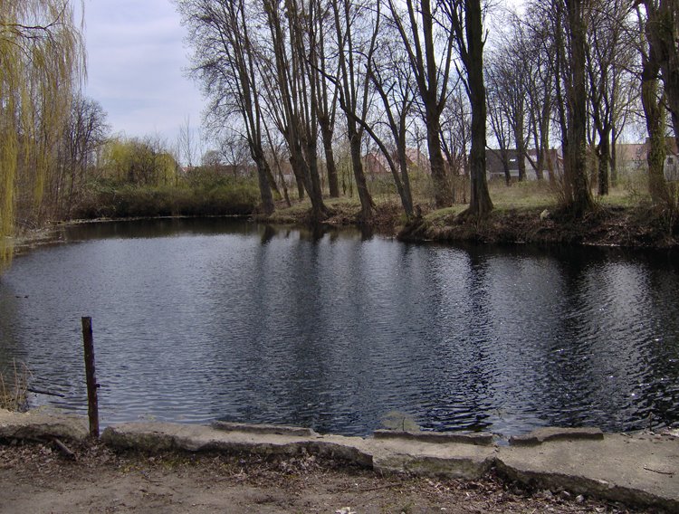 Teich am Blauen Stein