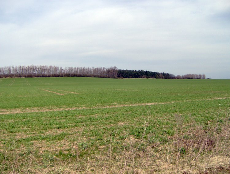 Blick zum Hummelberg