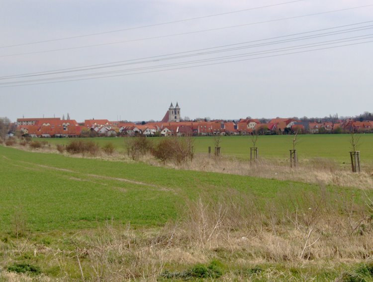 Blick nach Salzelemen