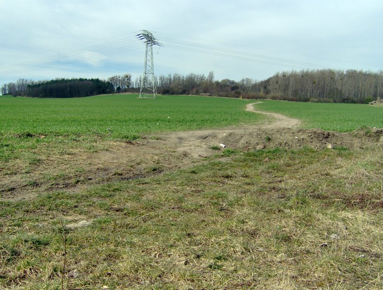 Feldweg zum Hummelberg