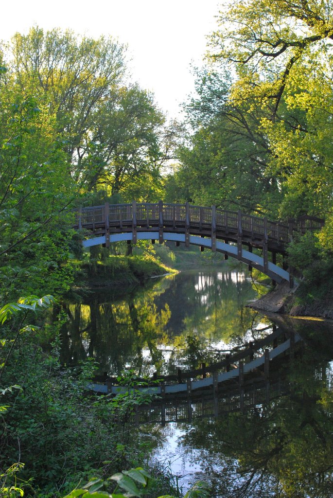 Impression from Rotehornpark