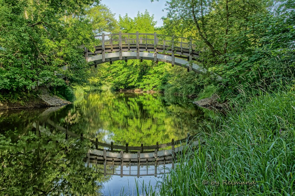 Magdeburg - Spiegelungen