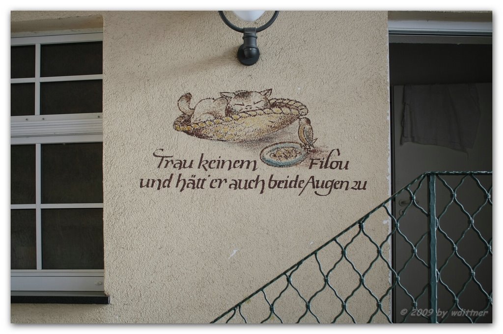 Trau keinem ...