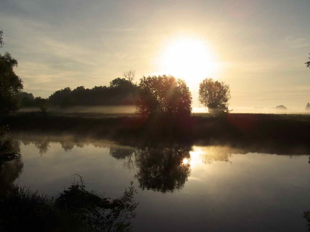 Saale im Morgennebel - Mai 2005