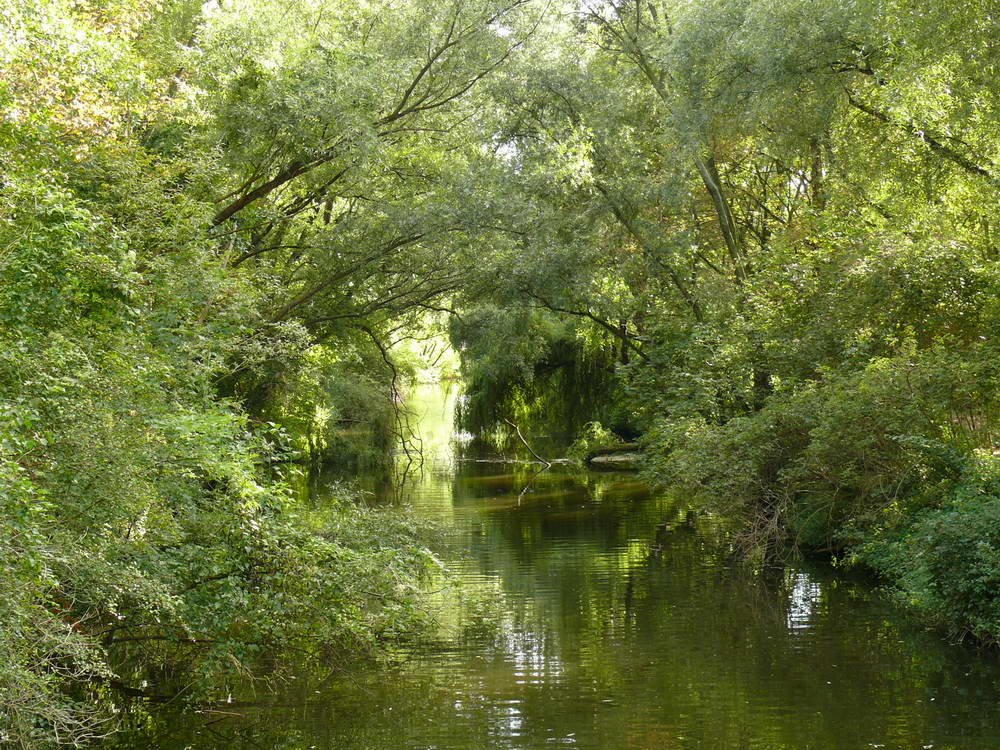 Hinterer Gotthardteich, August 2007