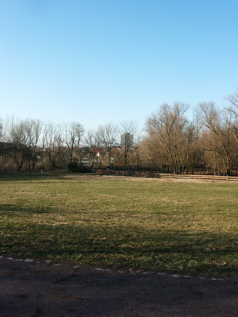 Tierpark Merseburg, 2011