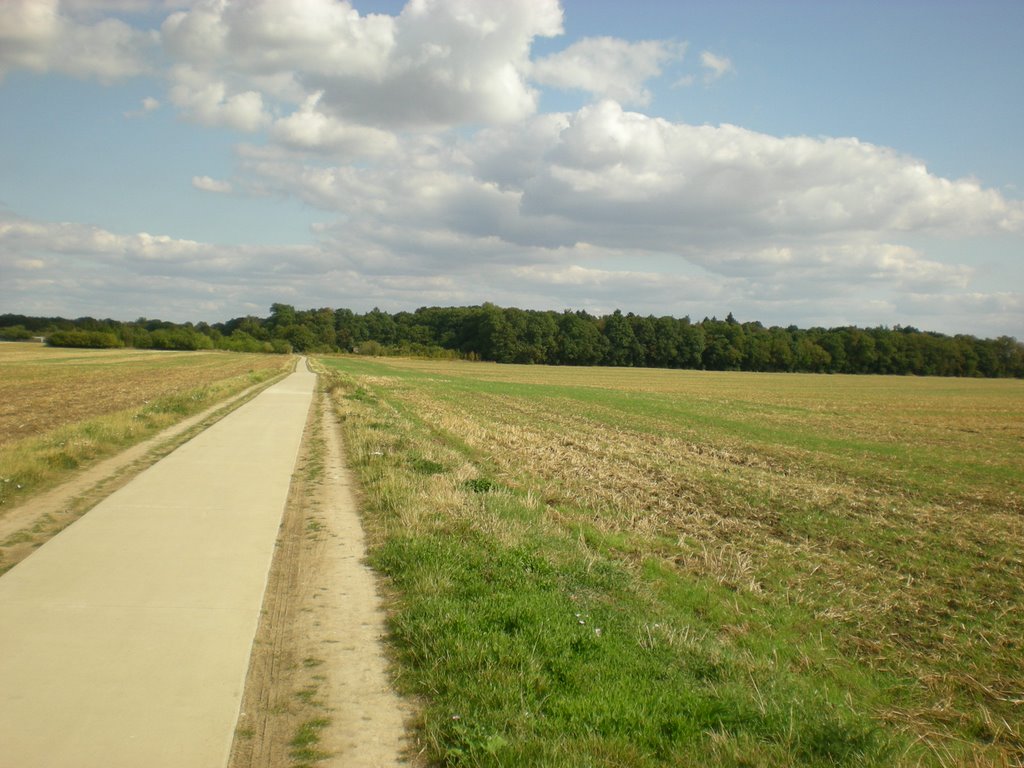 Tannenwäldchen von außen