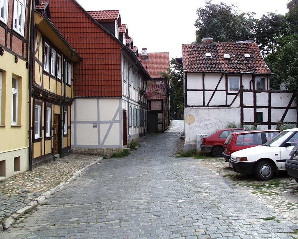 Unter der Tanne