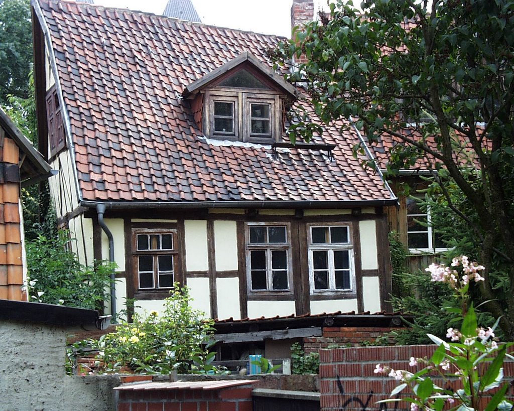 Unter der Tanne 1